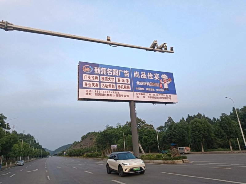 设计新视野：广告设计理念与实践